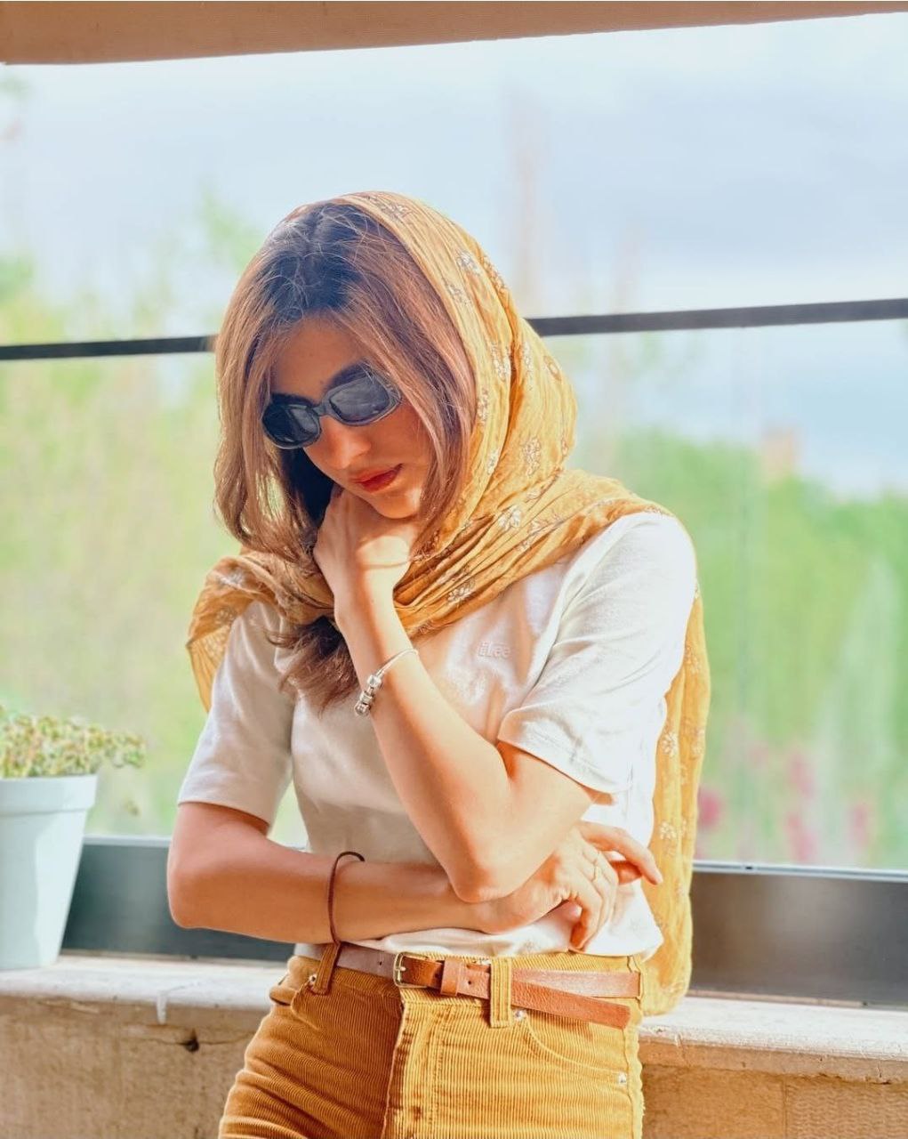 بنفشه ریاضی