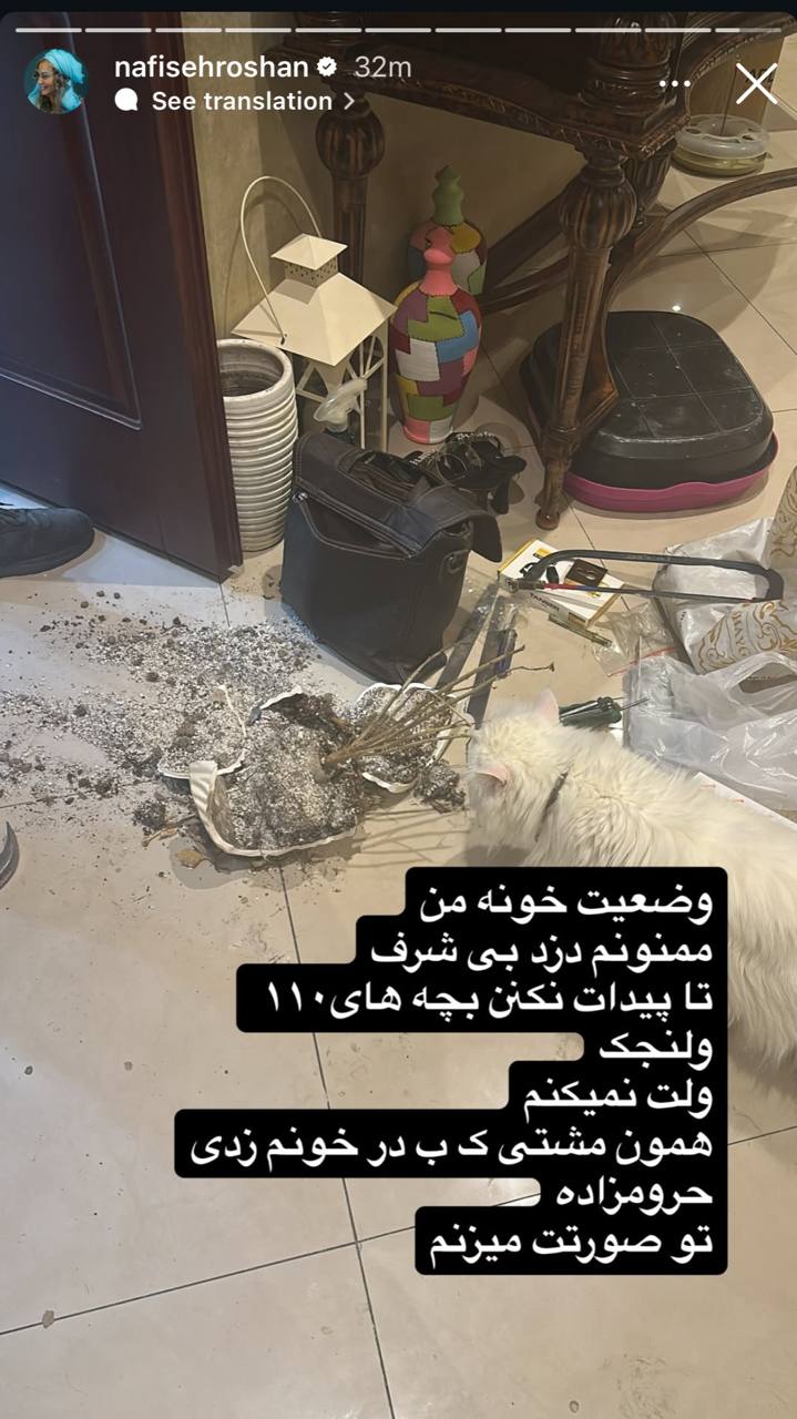 نفیسه روشن پس از دزدی از خانه‌اش