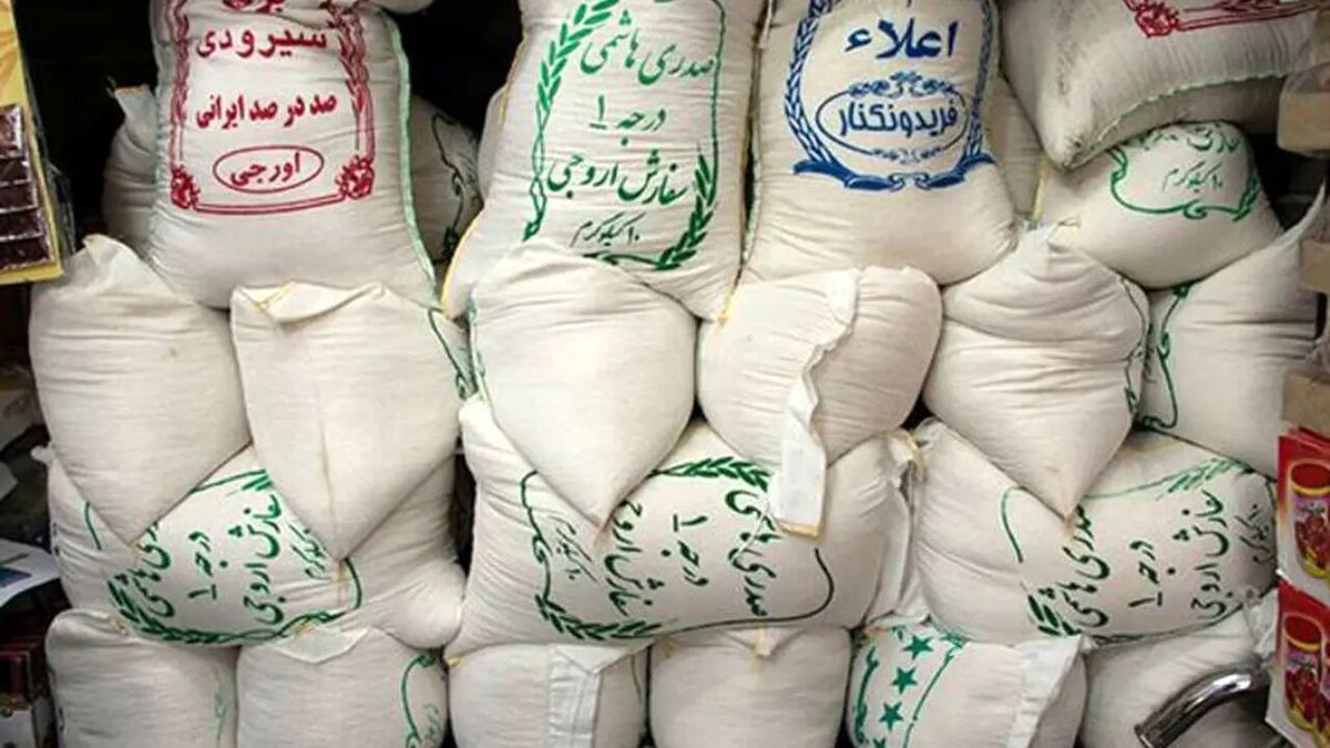 قیمت برنج ایرانی دوباره بالا رفت | ببینید کدام برند گران‌ترین است!