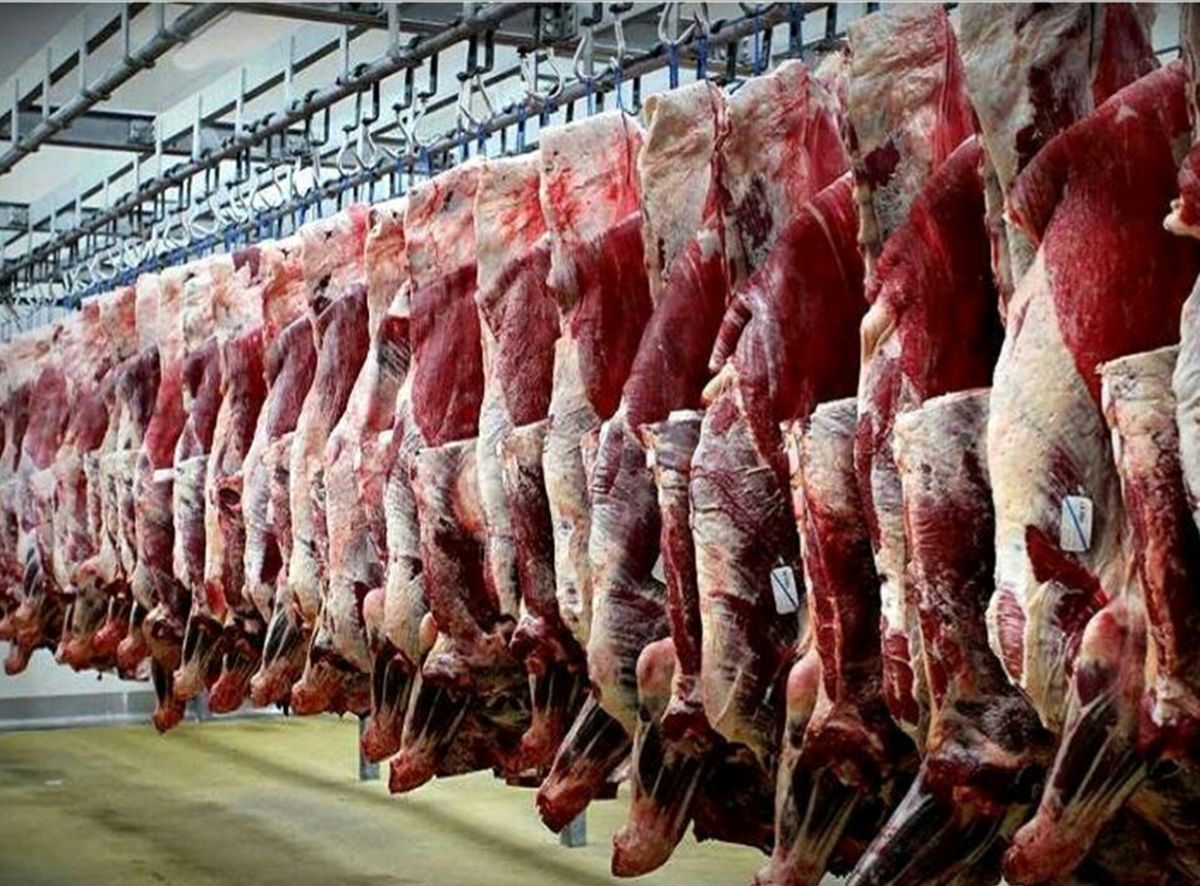 علت گران شدن قیمت گوشت چیست؟