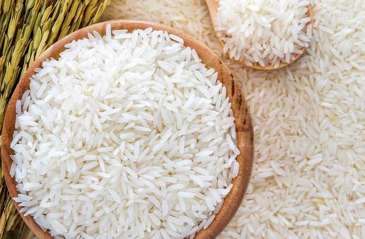 جدول جدید قیمت برنج ایرانی ۲۷ مهر ۱۴۰۴ | برنج هاشمی و صدری در صدر گرانی‌ها