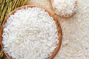 جدول جدید قیمت برنج ایرانی ۲۷ مهر ۱۴۰۴ | برنج هاشمی و صدری در صدر گرانی‌ها