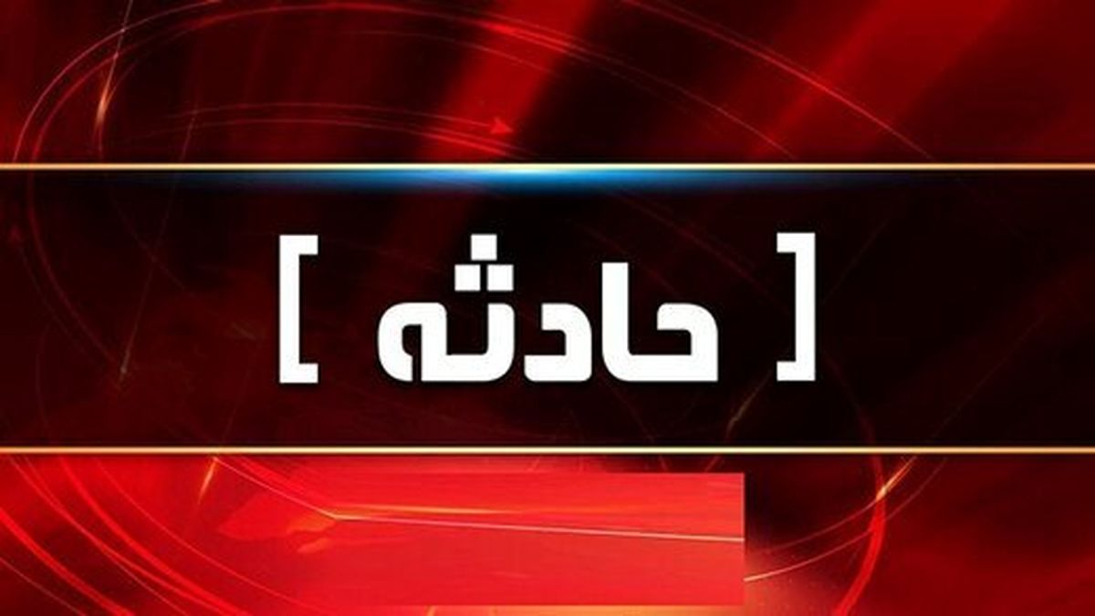 فاجعه وحشتناک سوزاندن سگ‌ها در کیسه زباله در تهران!