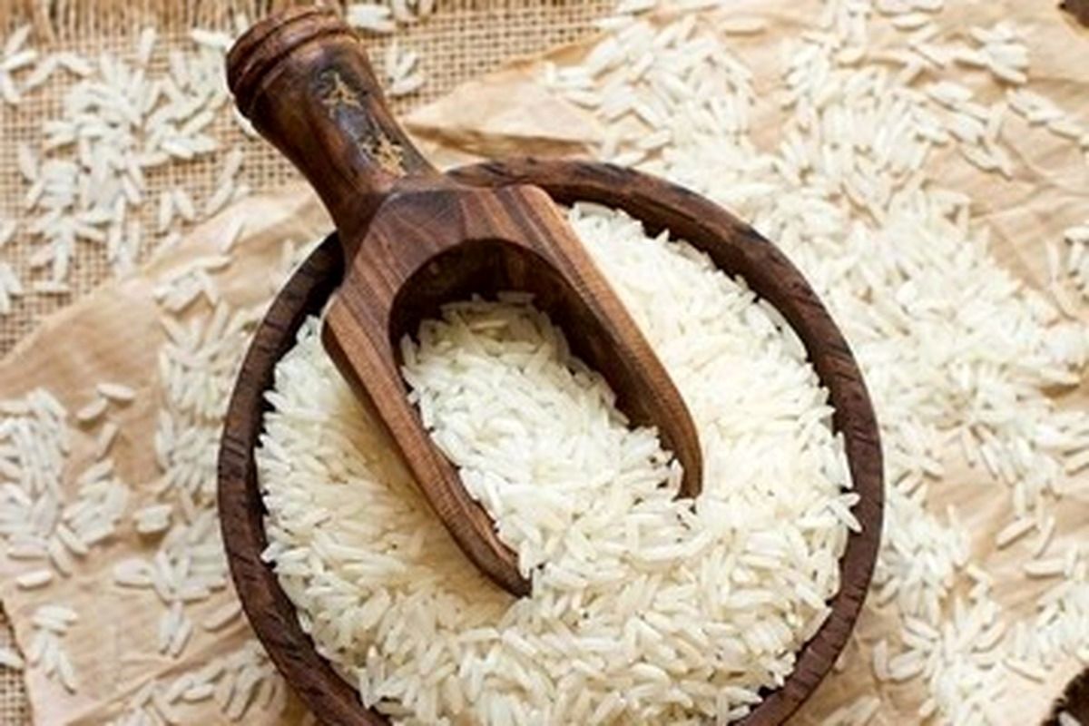 قیمت برنج سقوط کرد | برنج ایرانی و خارجی تا ۵۰ درصد ارزان شد!