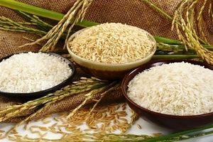قیمت روز برنج پاکستانی در بازار | ارزان‌ترین و گران‌ترین + جدول