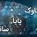 تغییر ساعت کاری ساتنا و چکاوک از اول مهر | باید قبل از چه ساعتی تراکنش کنید؟