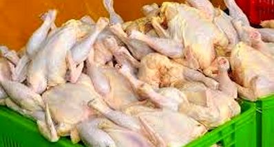 شوک به بازار مرغ؛ فروش مرغ دولتی در تهران آغاز شد | هر کیلو چند؟